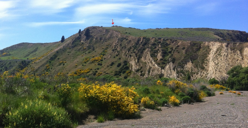 4wd_trips/2011-11-13_Waipara/1.JPG