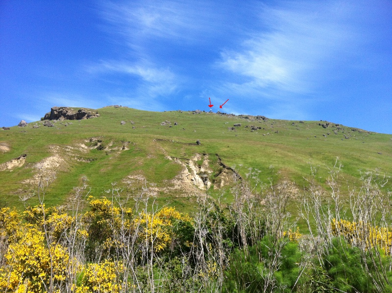 4wd_trips/2011-11-13_Waipara/3.JPG