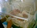 incubator.jpg