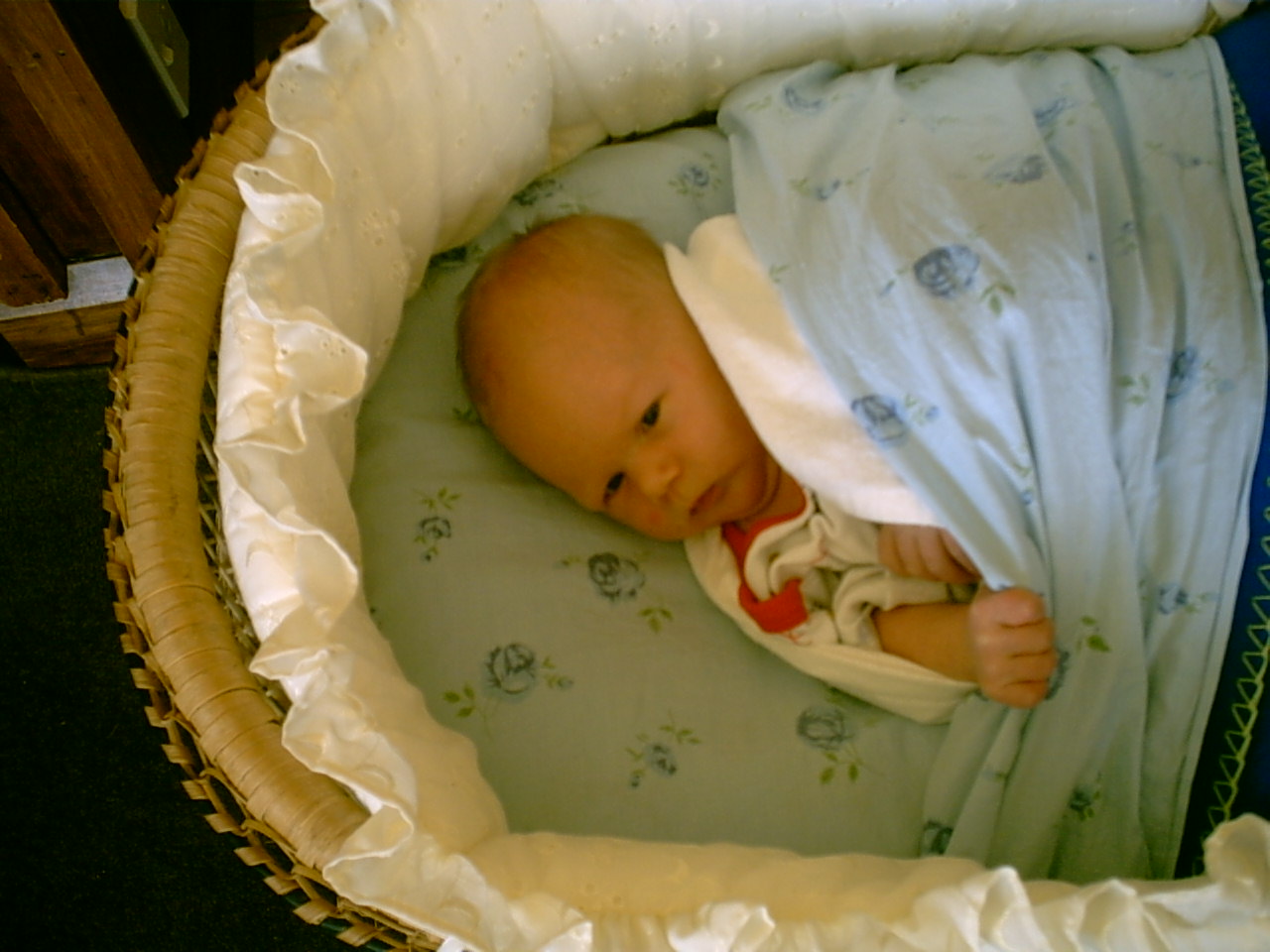 Baby/2003-10-16/IMG00001b.JPG