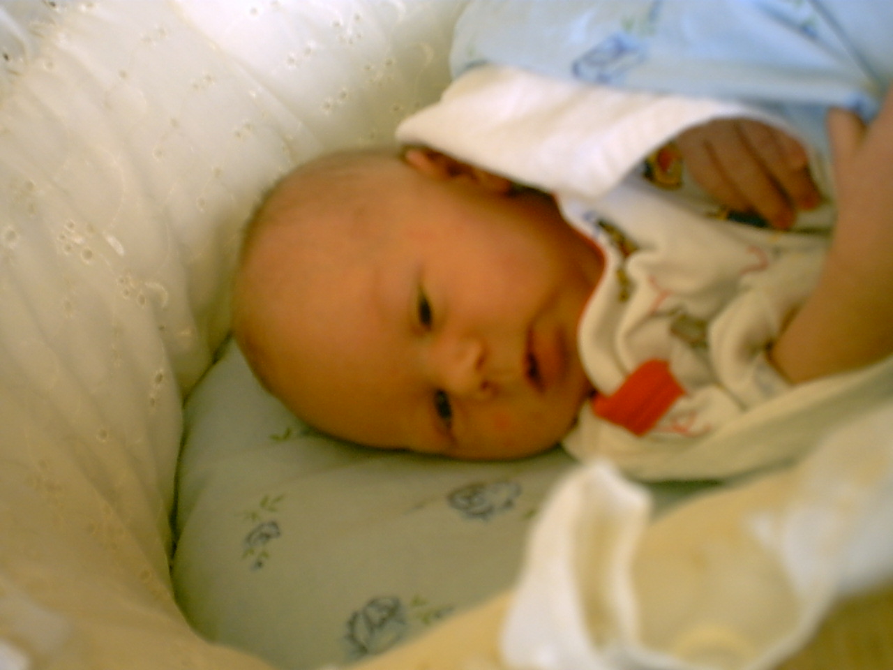 Baby/2003-10-16/IMG00002b.JPG