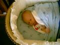 IMG00001b.JPG