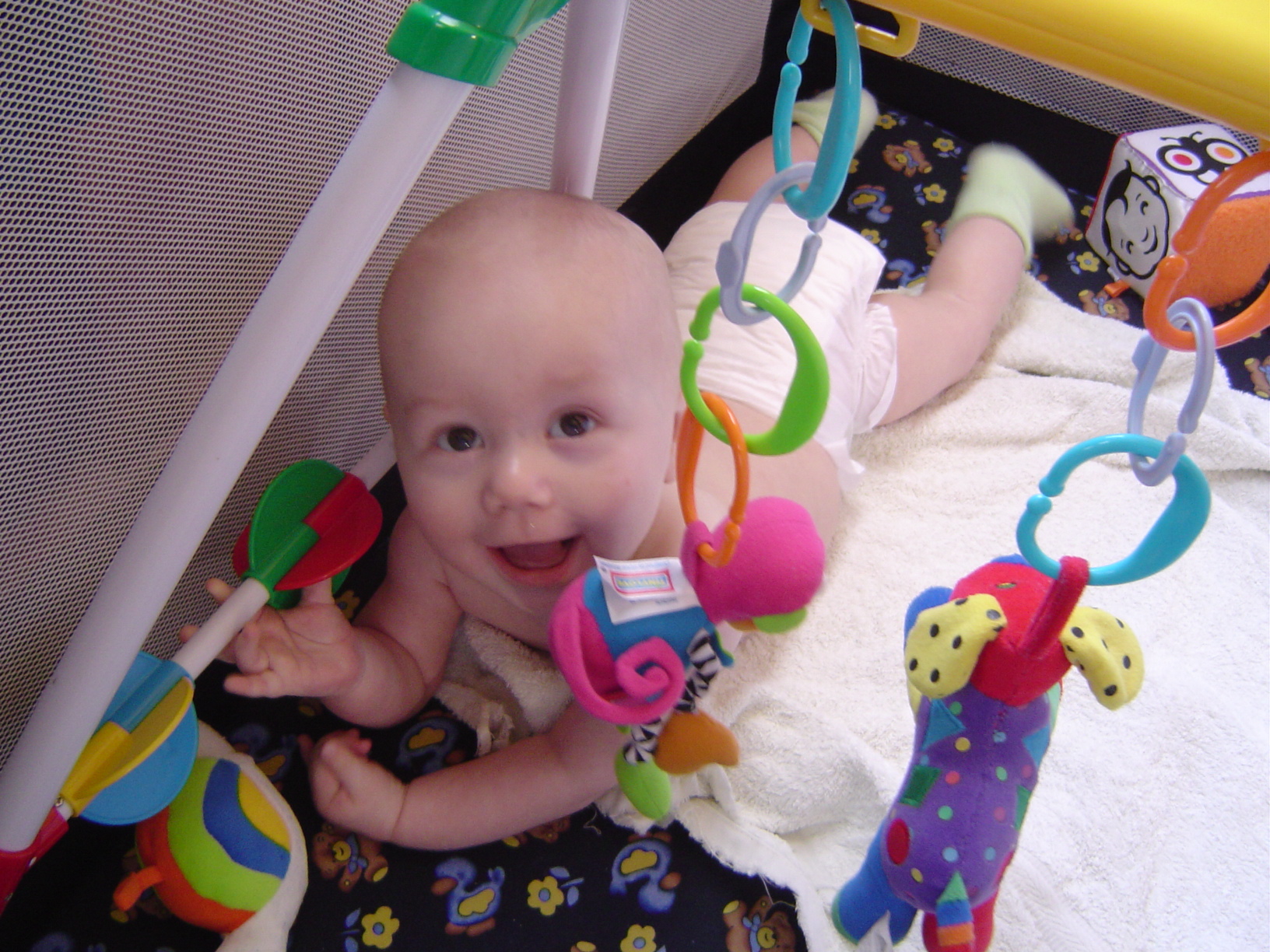 Baby/2004-03-19/dsc00572.jpg