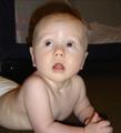 dsc00560.jpg