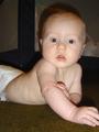 dsc00561.jpg
