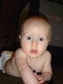 dsc00562.jpg