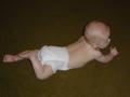 dsc00565.jpg