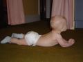 dsc00586.jpg