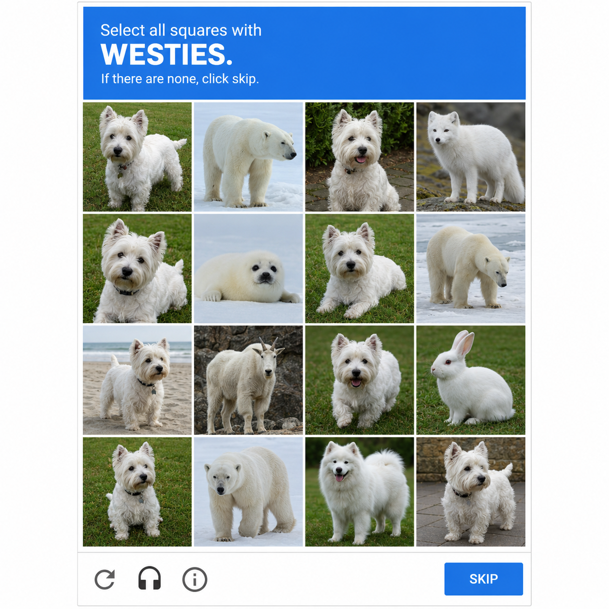 CAPTCHA/westies.png