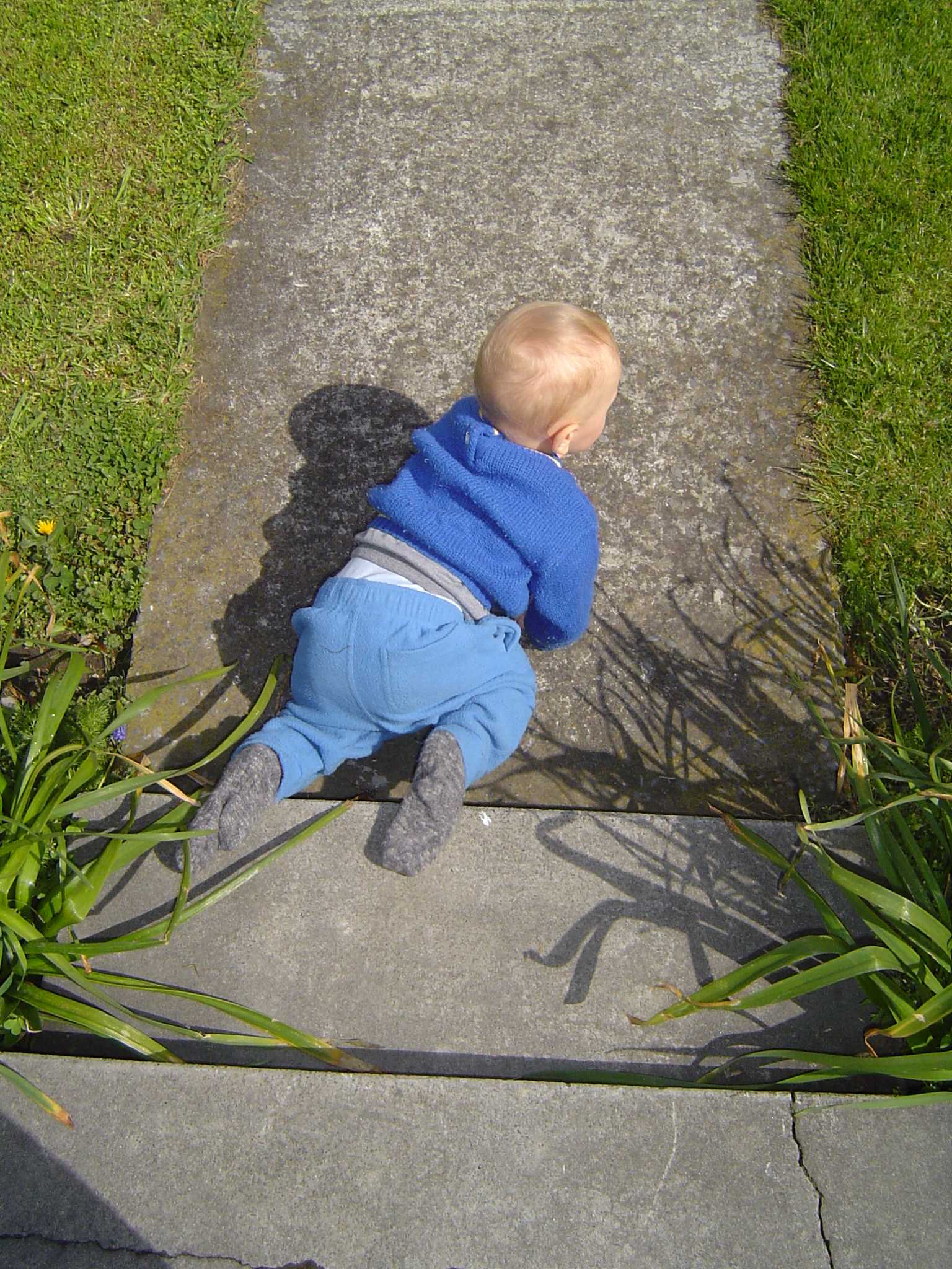 Luke/2004-10-09_First_Birthday/dsc00624.jpg