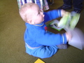 dsc00598.jpg