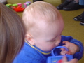 dsc00606.jpg