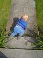 dsc00624.jpg