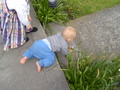 dsc00640.jpg