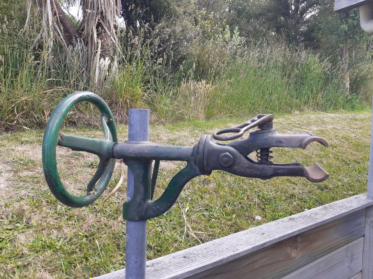 bikes/bikestand/1881663610.jpg