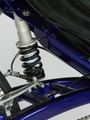 SP_559_detail_1.JPG