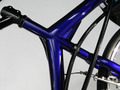 SP_559_detail_5.JPG