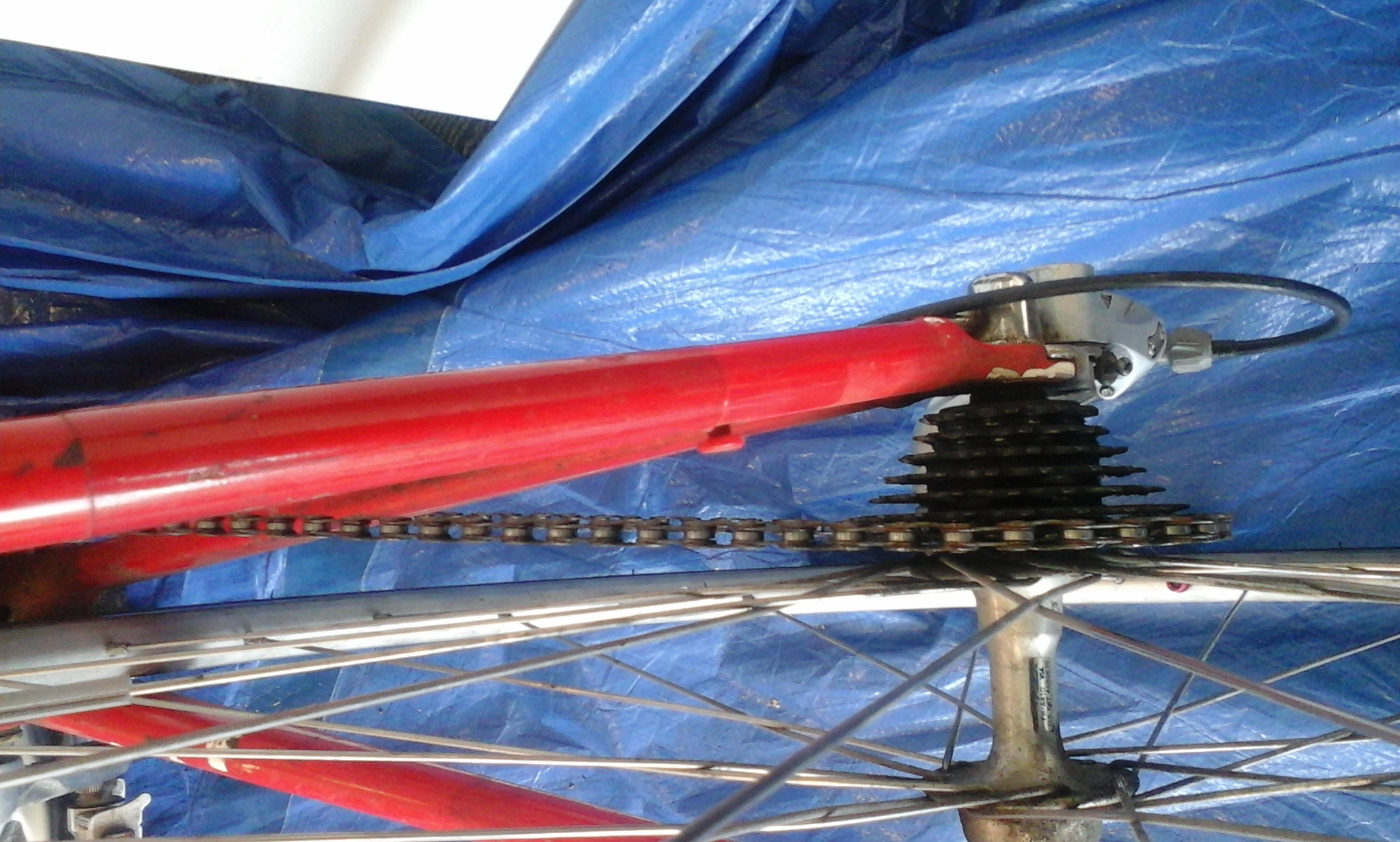bikes/mongoose/mong-rear-seatstay-mushroom2.jpg