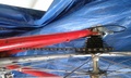 mong-rear-seatstay-mushroom2.jpg