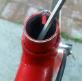 red-mongoose-closed.jpg