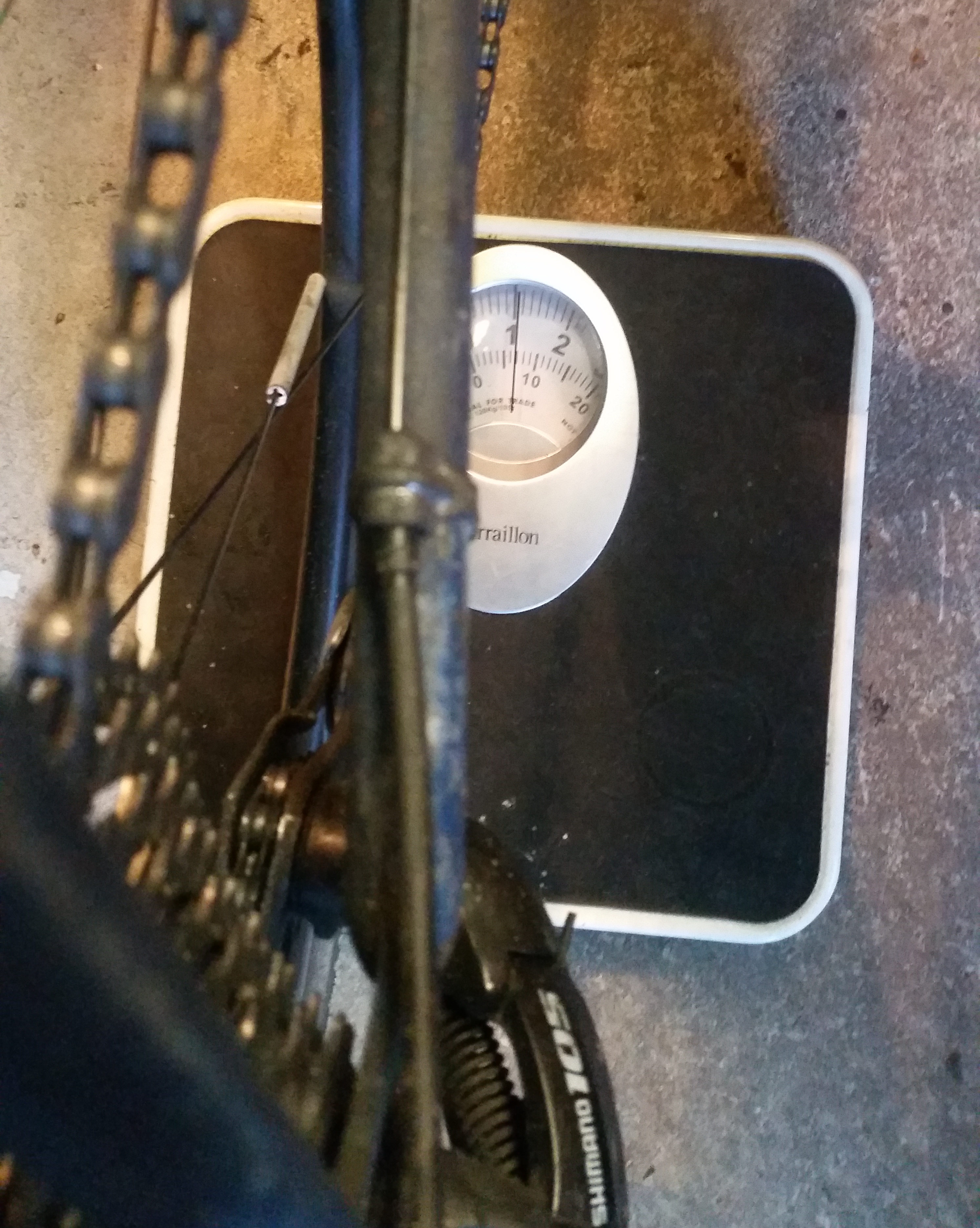 bikes/raleigh_arena/Raleigh-weight-rear.jpg