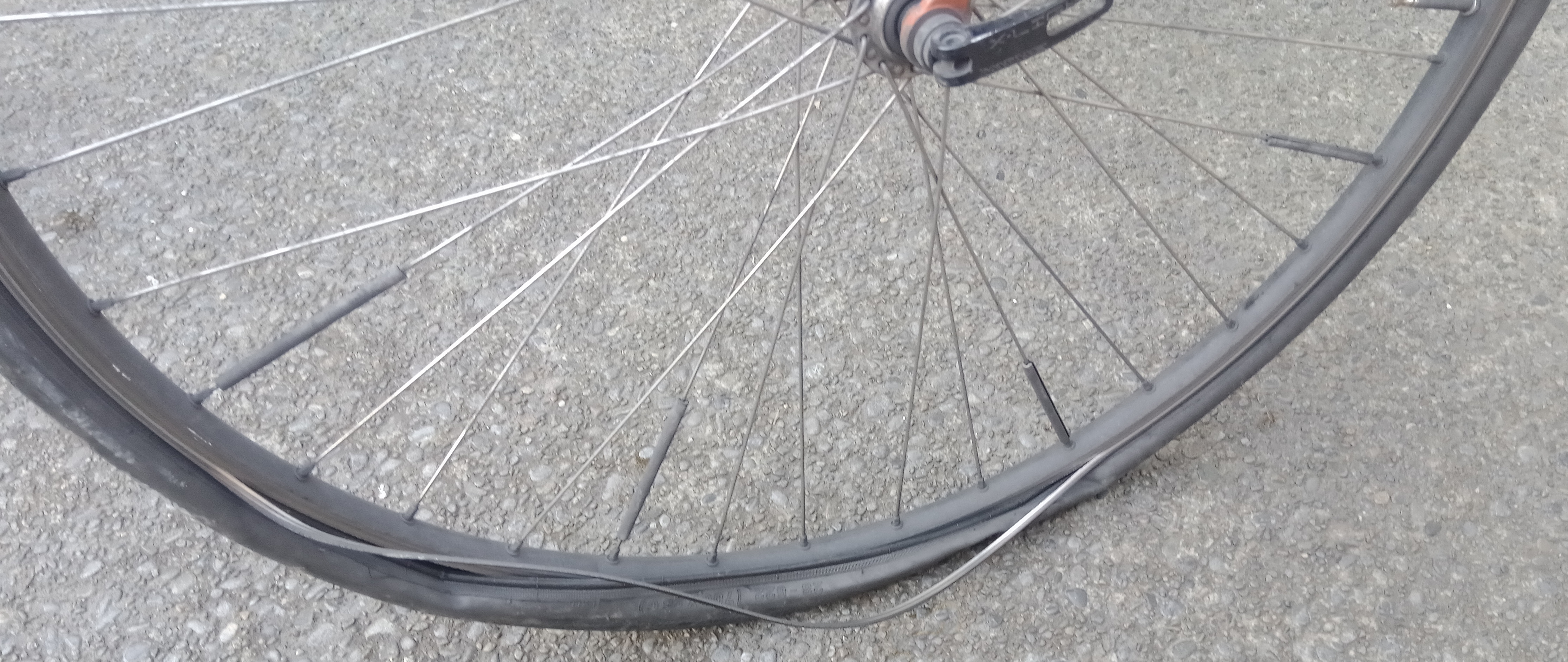 bikes/rim-dead/IMG_20230806_160154_940.jpg
