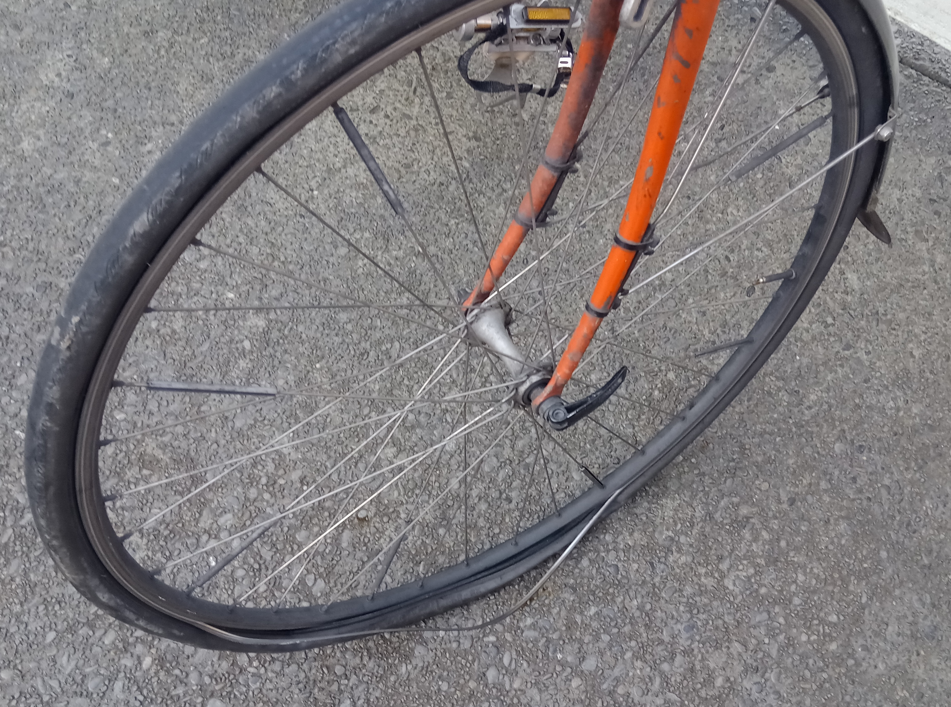 bikes/rim-dead/IMG_20230806_160200_322.jpg