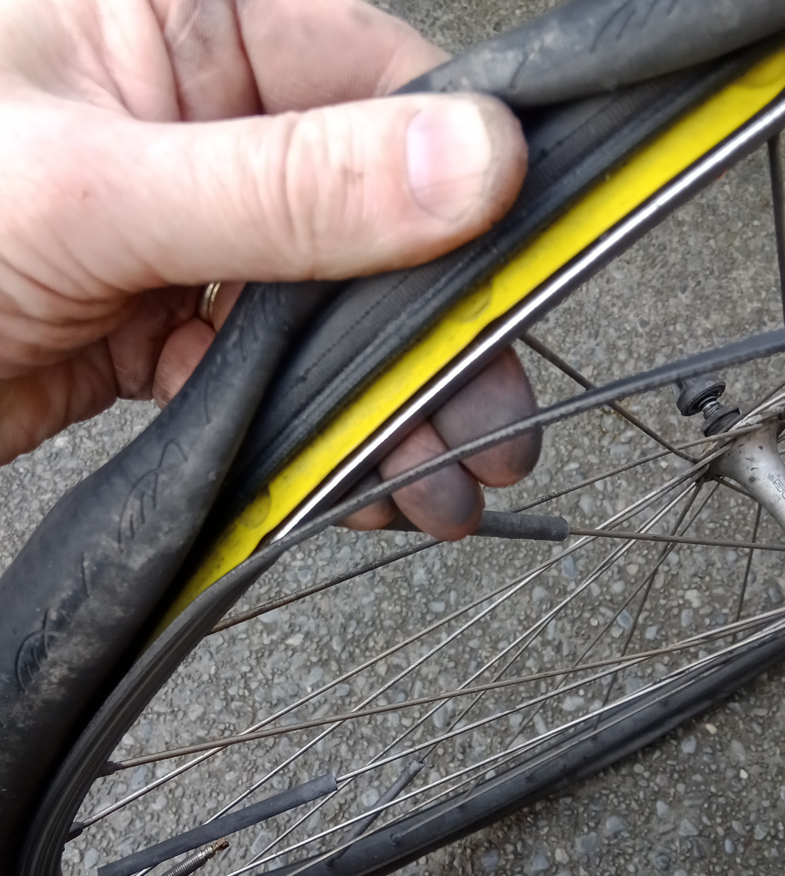 bikes/rim-dead/IMG_20230806_160339_517.jpg