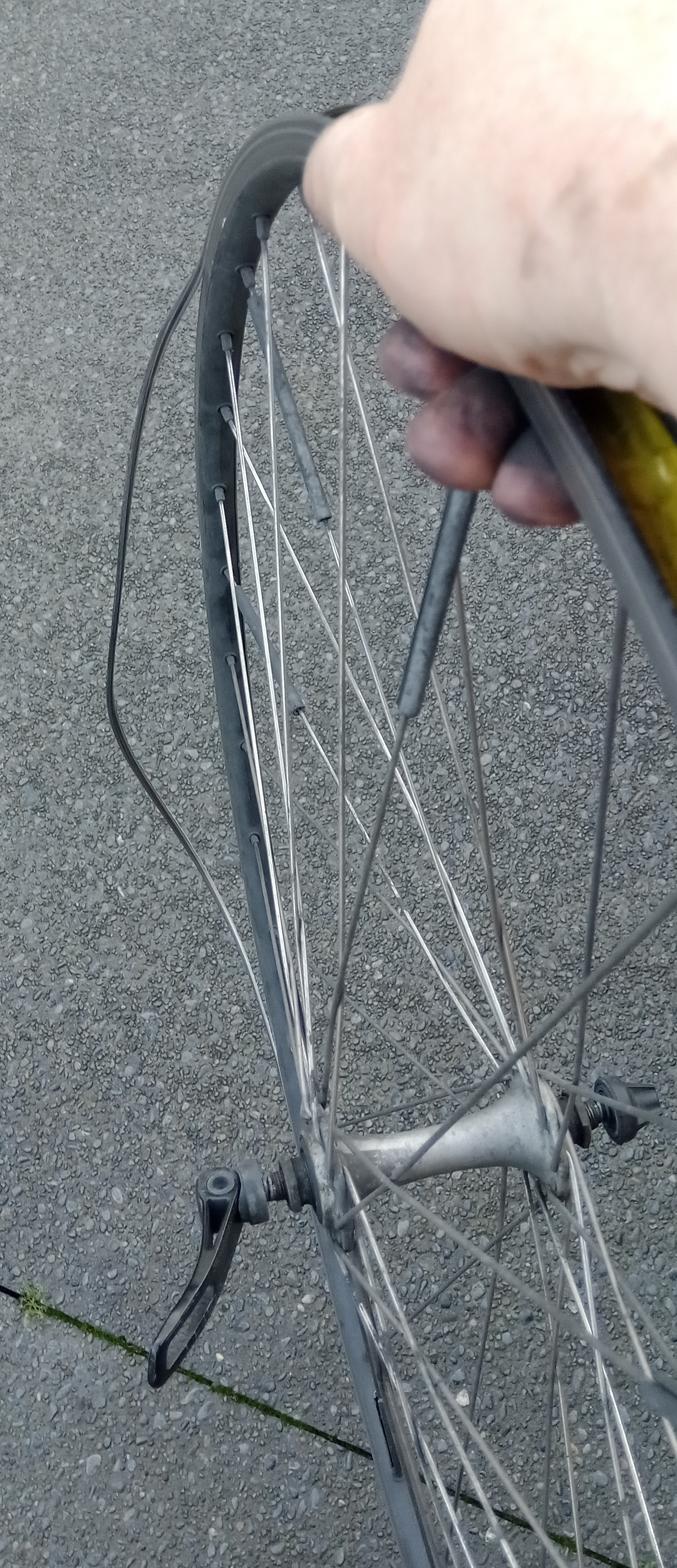 bikes/rim-dead/IMG_20230806_160612_062.jpg