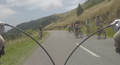 2016-01-09-summitroad-flock2.png