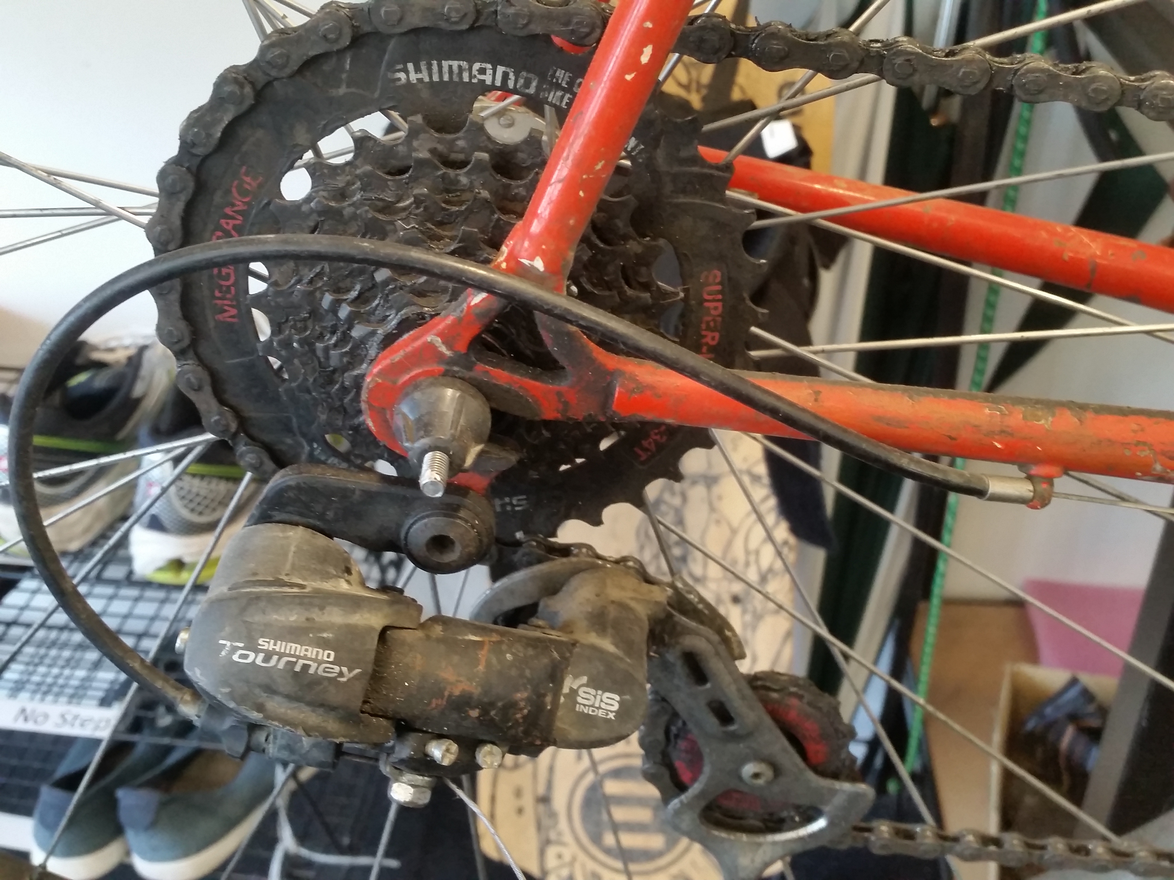 bikes/vincere/20191004_131526.jpg