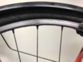 vince-cracked-rim.png