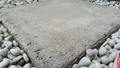 20201220_153307_resized.jpg