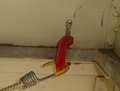 wheelclamp.jpg