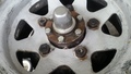 20170513_104750.jpg