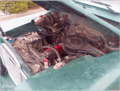 FLIR-engine.gif