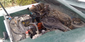 IMG_20240208_191320_611-engine-left.jpg