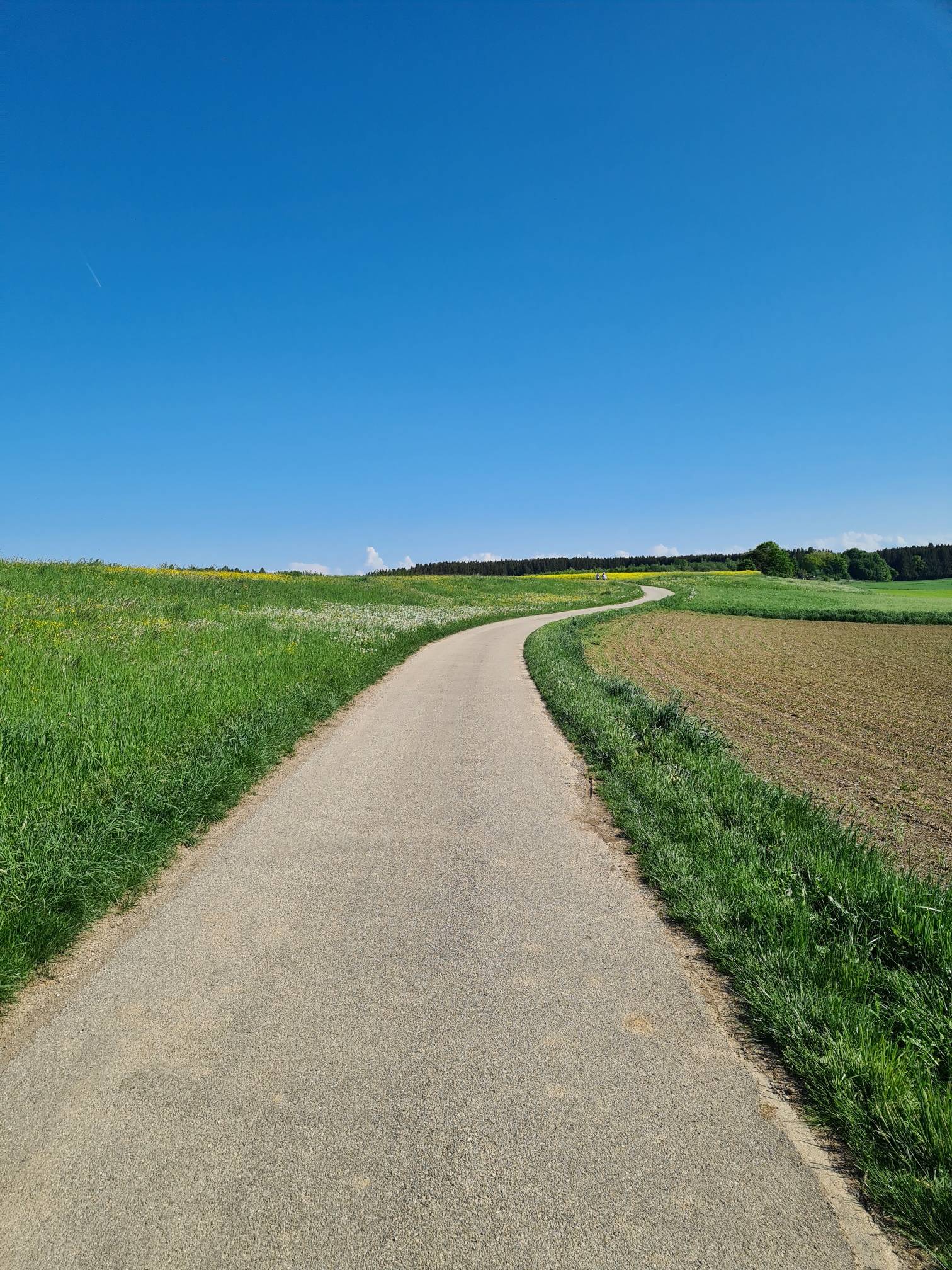 meeting-backgrounds/bavaria-countryside.jpg