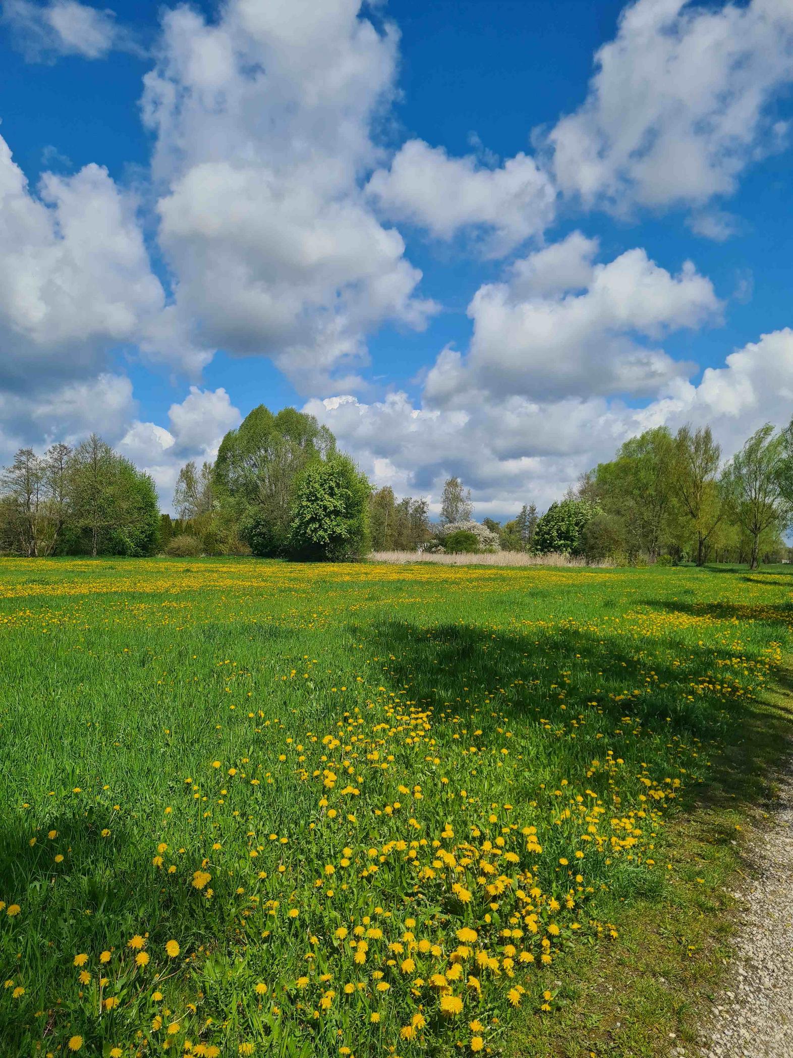 meeting-backgrounds/mainburg.jpg