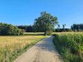 Bieberbach-Vierkirchen-Munich-S.Germany.jpg
