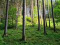 evening-mood-valley-in-Gleißental.jpg