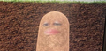 potato.png