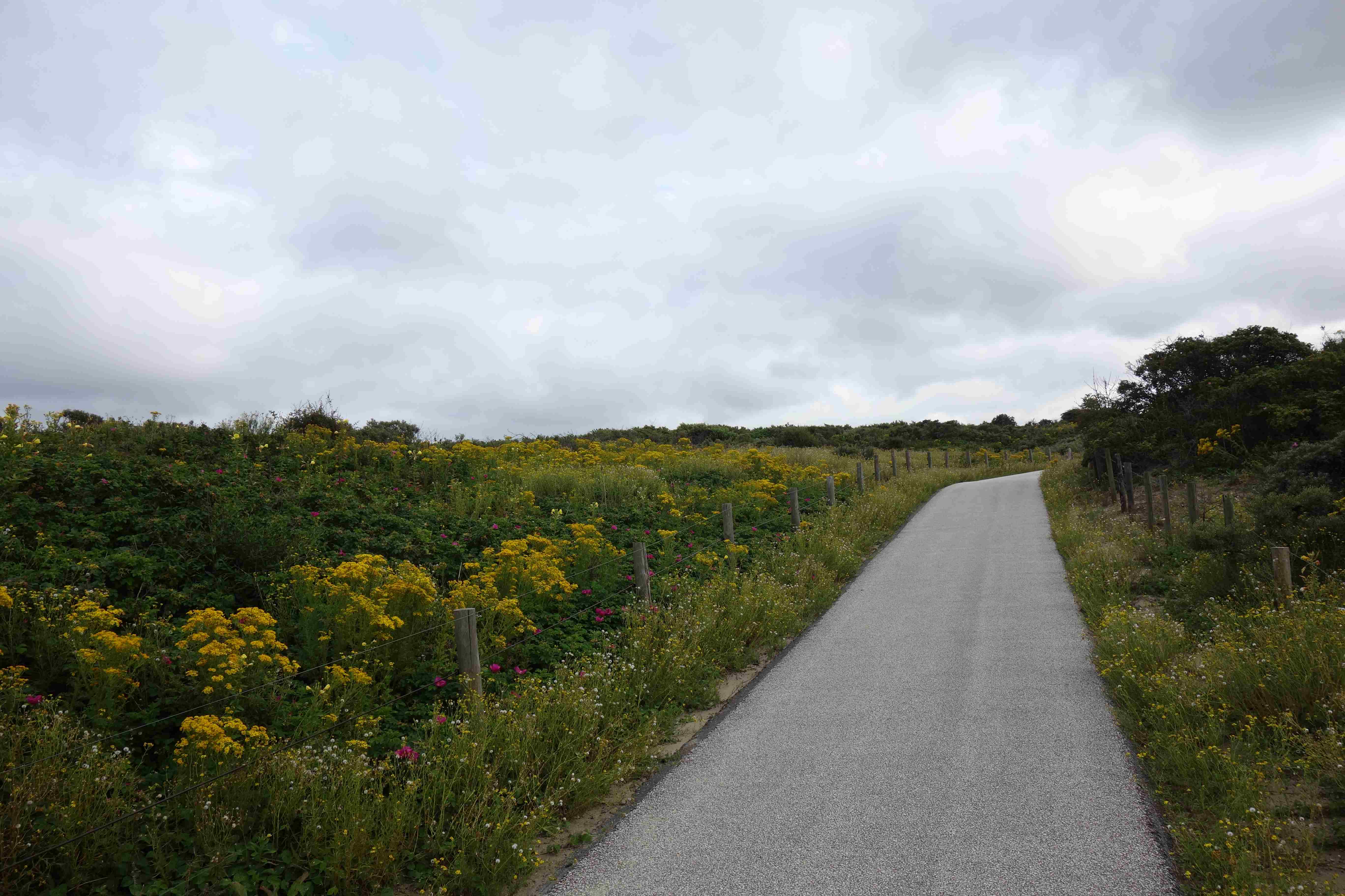 meeting-backgrounds/zandmotor.jpg