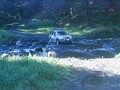 Freelander.JPG