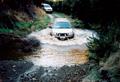 freelander6.jpg