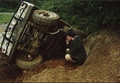 oops.BMP.JPG