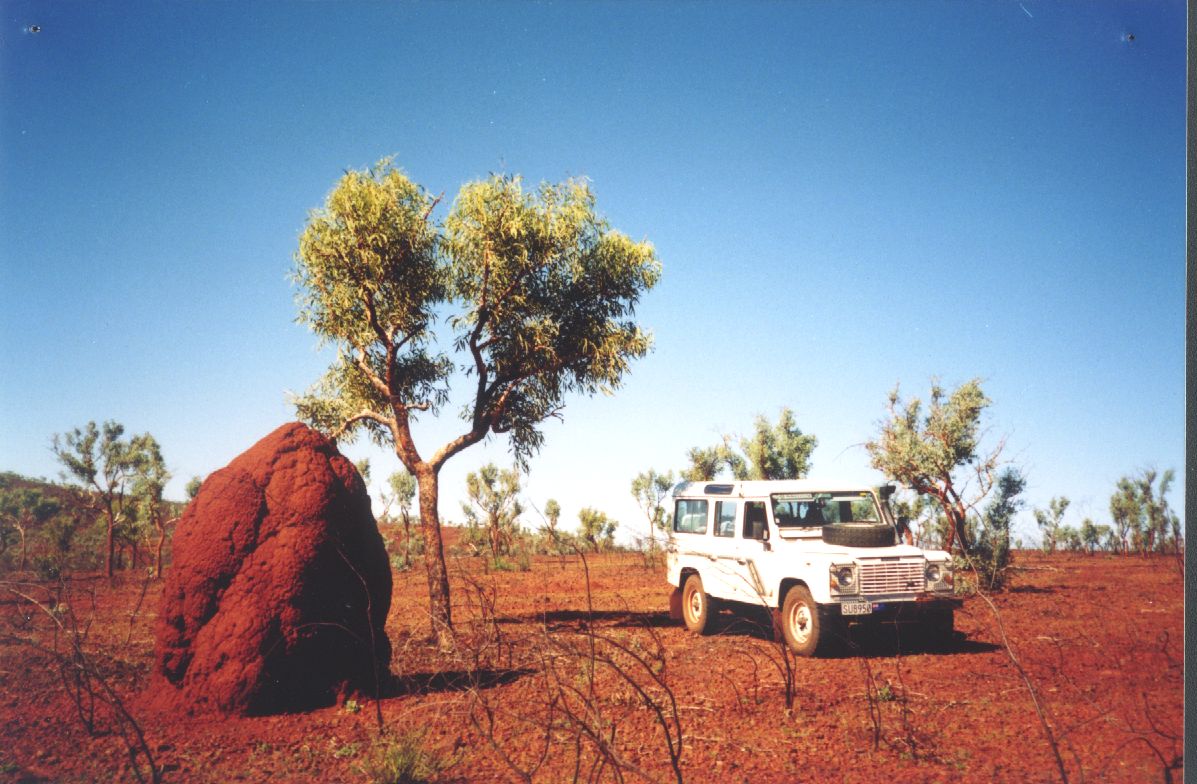 nzlro/Kerry's_Defender/biganthill.jpg