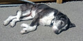 IMG_20250205_125921_138.jpg