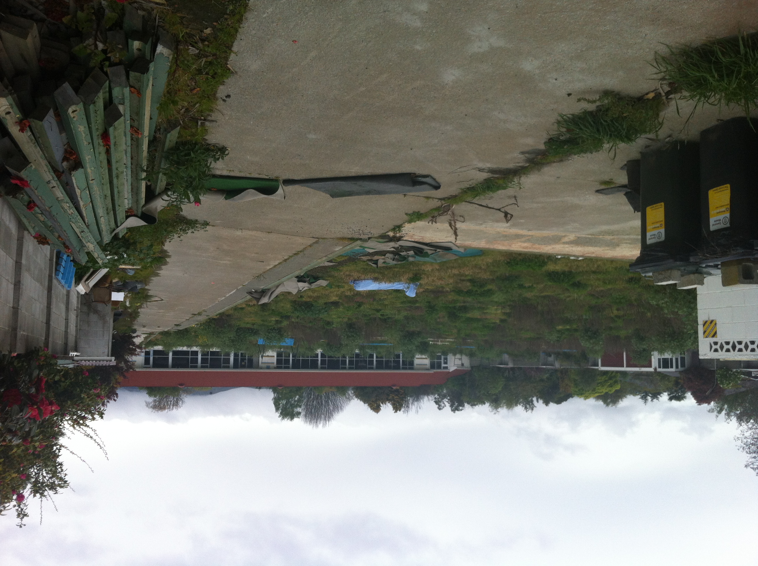 quake/Petrie_Street_Lawn_Bowls_October2012.jpg